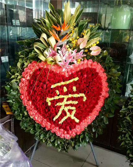 驾返蓬莱