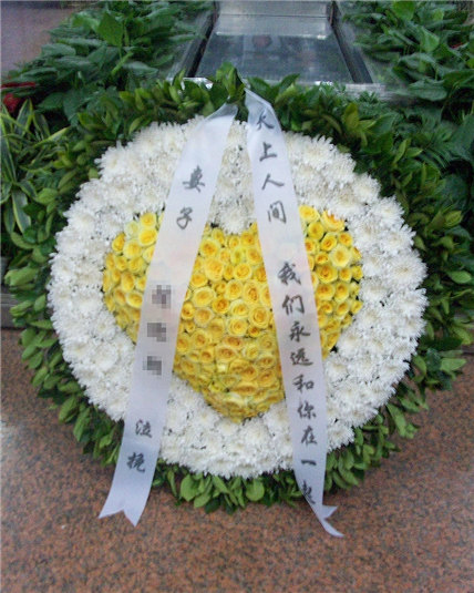 南柯梦里