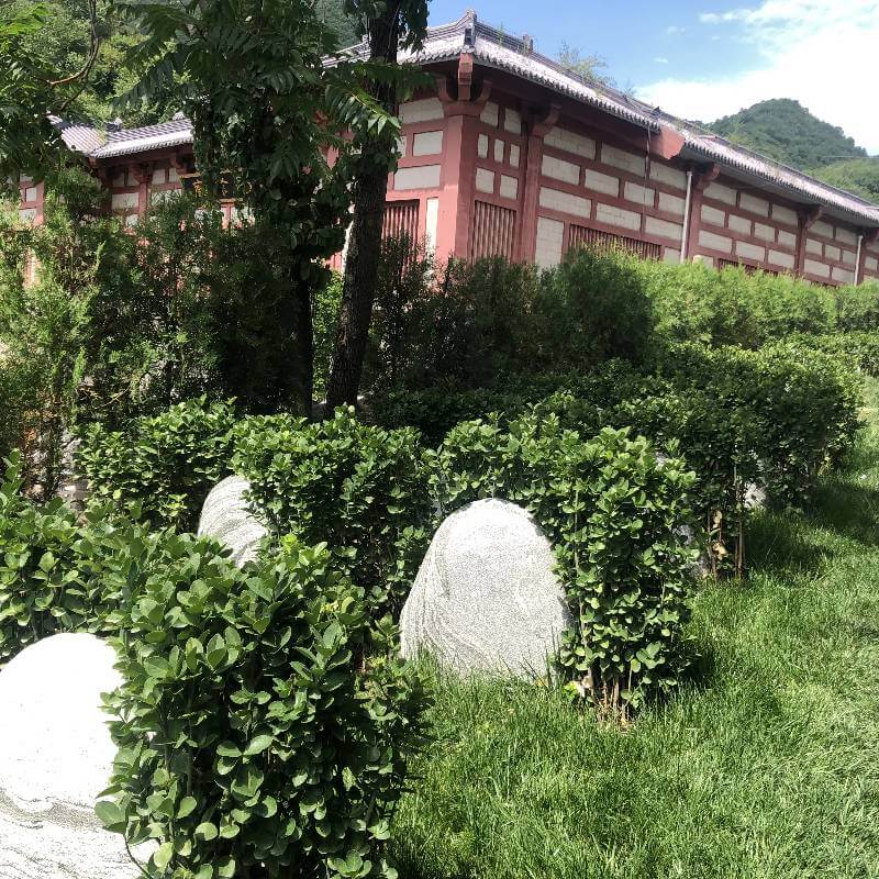 华人怀思堂自然石立碑3