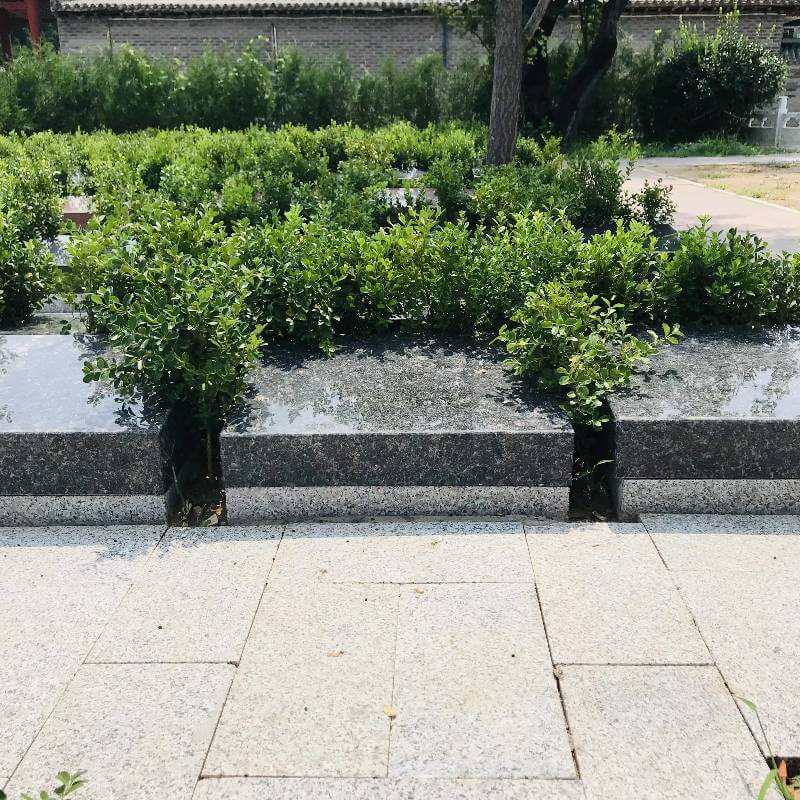 九里山公墓二区艺术卧碑2