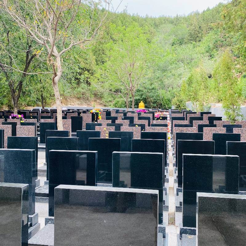 九里山公墓二区龙腾园上新立碑