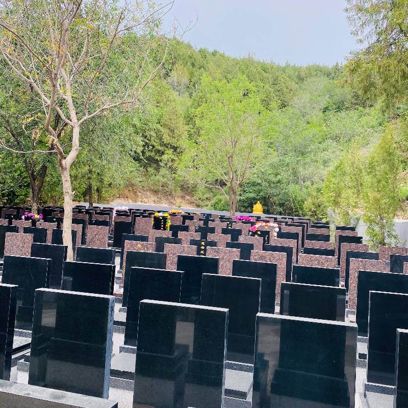九里山公墓二区龙腾园上新立碑