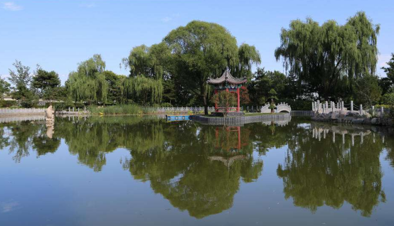 天寿陵园自然葬怎么做？整体环境好不好？