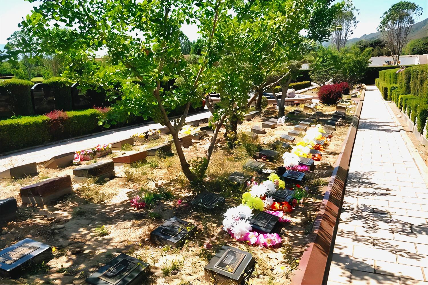 北京天寿陵园——以树葬为主旋律，不一样的陵园