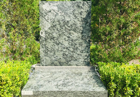 1593753032693.jpg