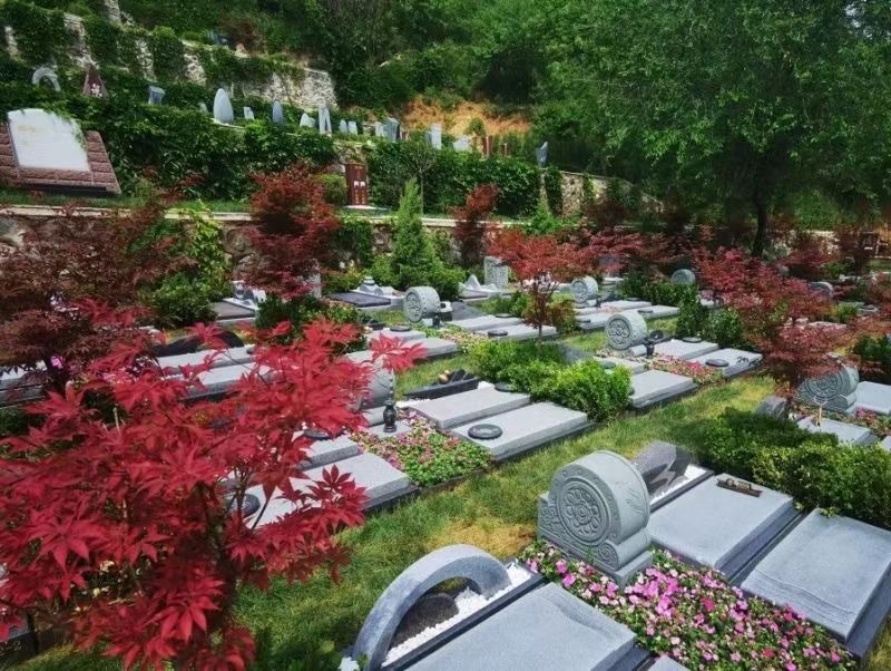 北京树葬多少钱？价格因陵园和墓位而异