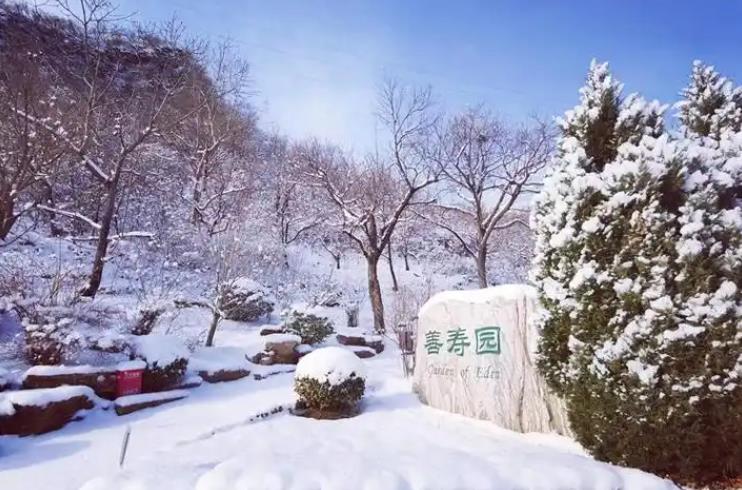 北京树葬陵园哪家服务环境好