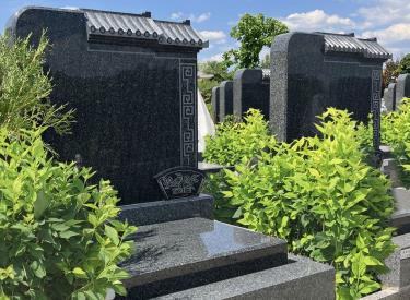 文星