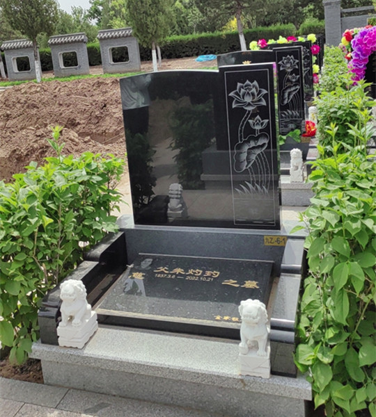 1-2501041550350-L.jpg
